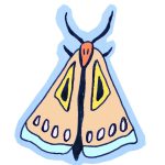 moth 2